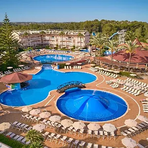 book here